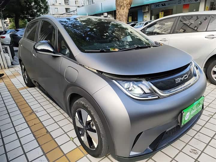 Фото 4 - BYD Dolphin