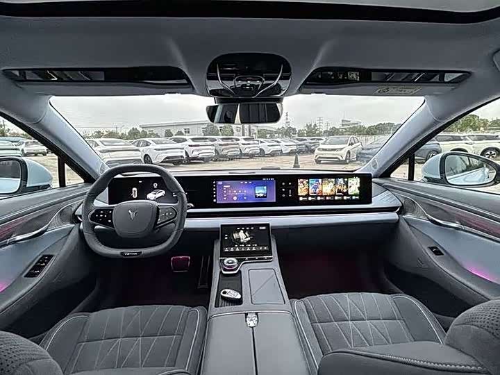 Фото 5 - Voyah Passion