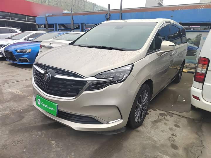 Фото 1 - Buick GL8 ES