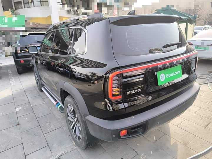 Фото 5 - Haval Dargo