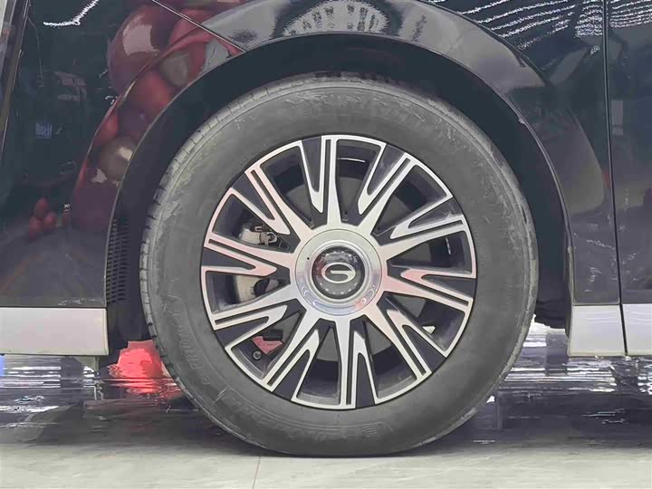 Фото 4 - GAC Trumpchi E9