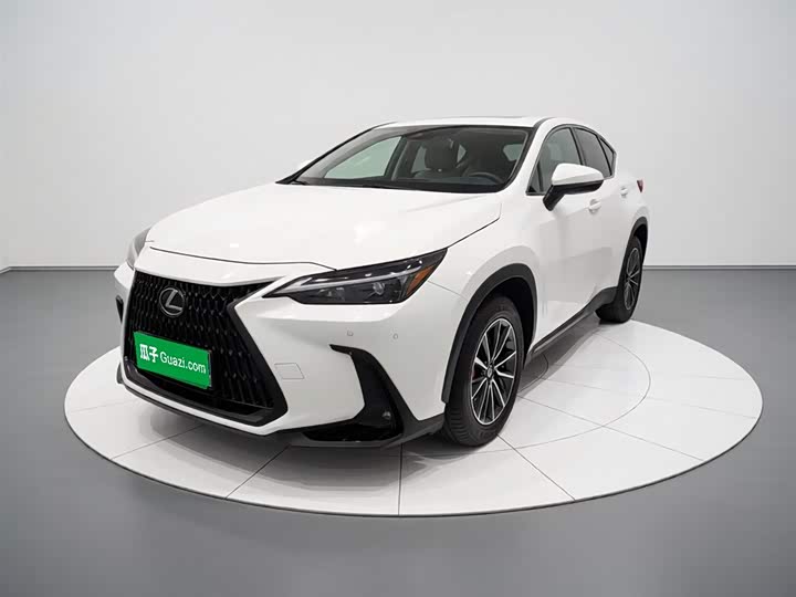 Фото 1 - Lexus NX