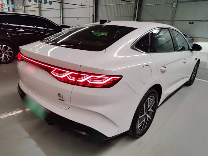 Фото 7 - BYD Qin L