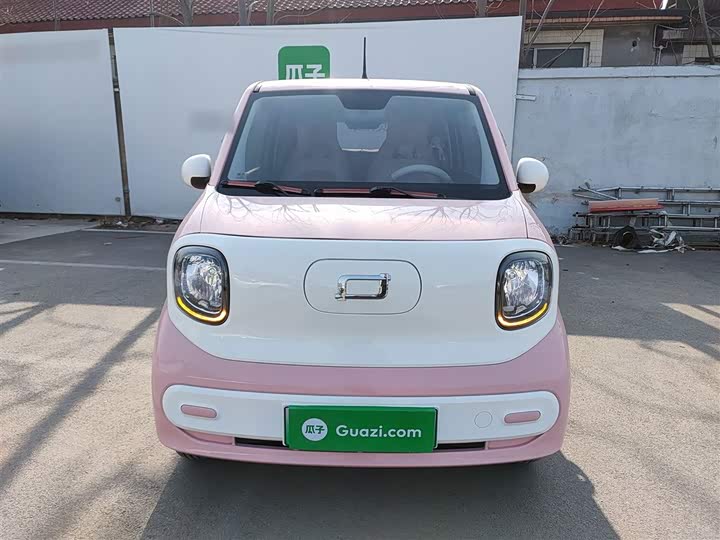 Фото 3 - Bestune Pony