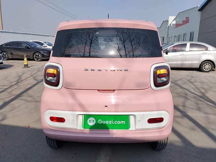 Фото 6 - Bestune Pony