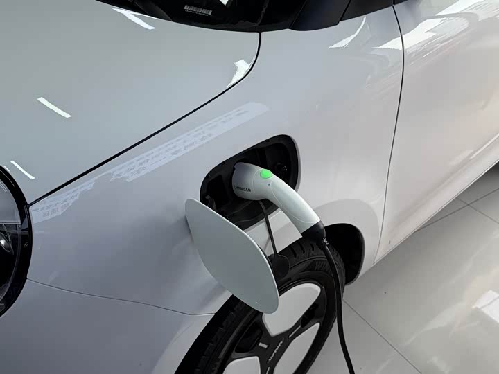 Фото 6 - Changan Qiyuan (Nevo) Lumin