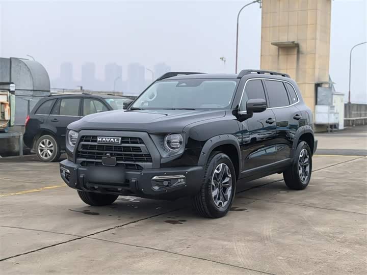 Фото 2 - Haval Dargo