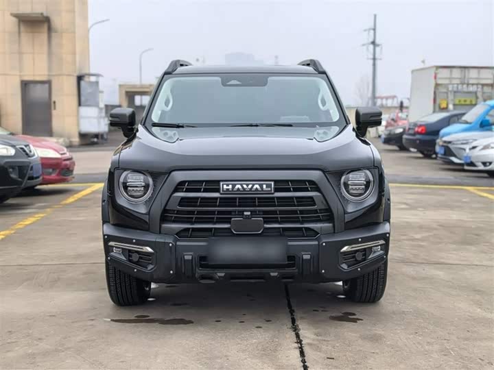 Фото 3 - Haval Dargo