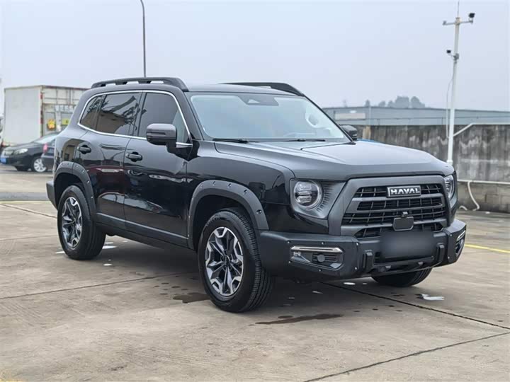 Фото 4 - Haval Dargo