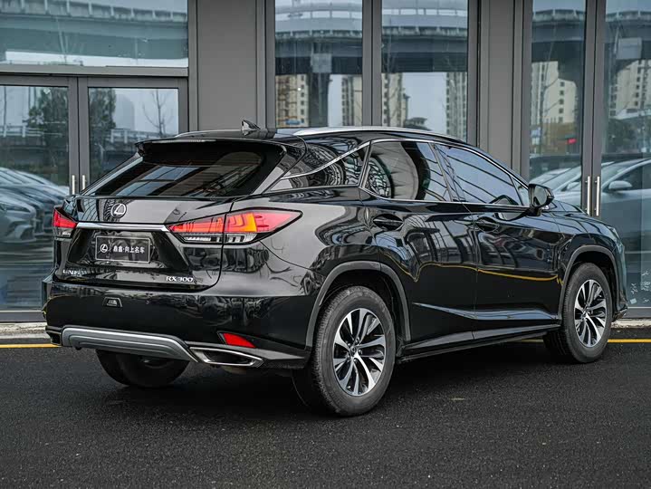 Фото 4 - Lexus RX