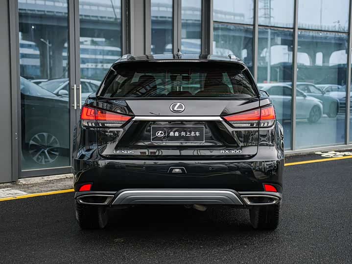 Фото 5 - Lexus RX