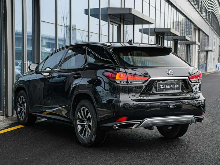 Фото 6 - Lexus RX