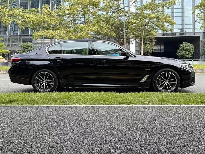 Фото 5 - BMW 5 Series Hybrid