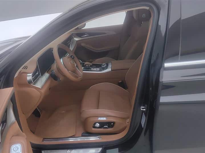 Фото 9 - Hongqi H9