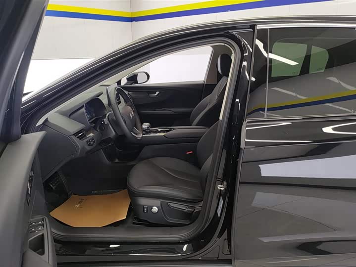 Фото 9 - Hongqi E-QM5