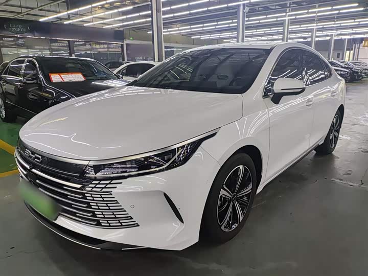 Фото 2 - BYD Destroyer 05