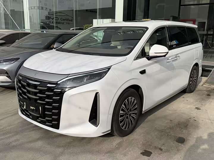 Фото 1 - BYD Xia