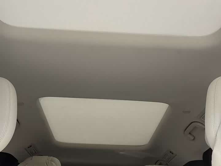 Фото 4 - BYD Xia