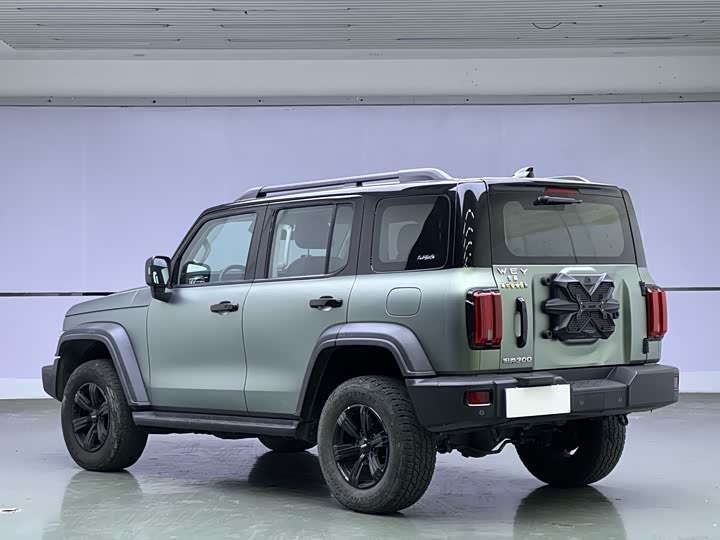 Фото 4 - Tank 300