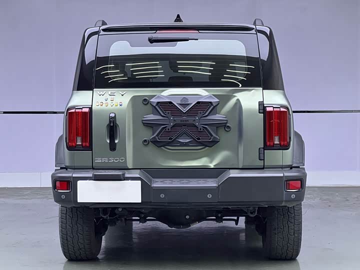 Фото 5 - Tank 300