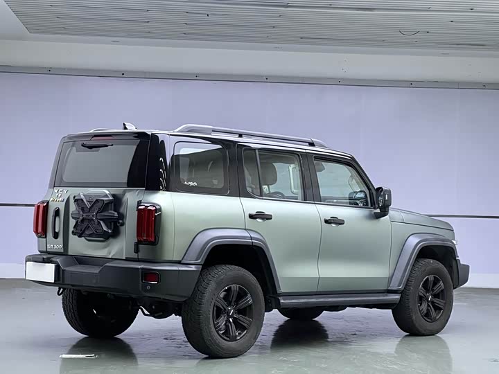 Фото 6 - Tank 300