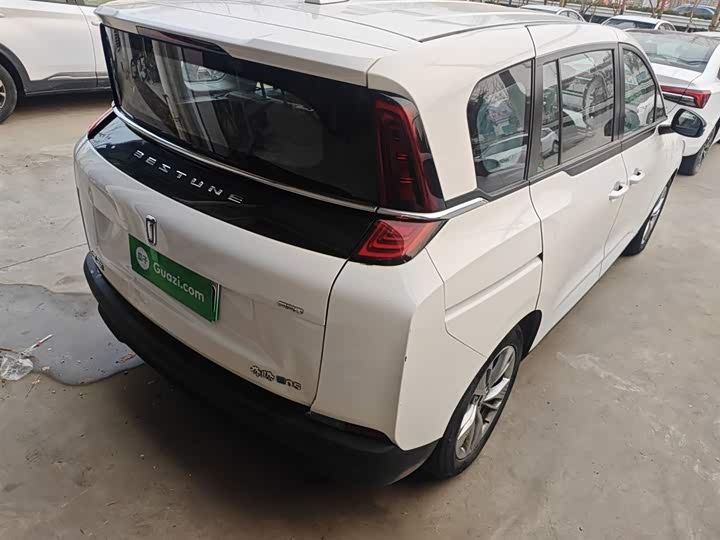 Фото 7 - Bestune NAT