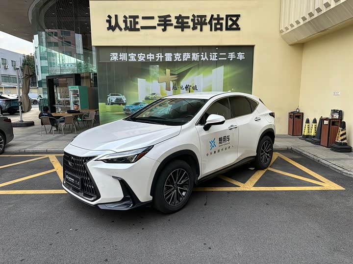 Фото 1 - Lexus NX