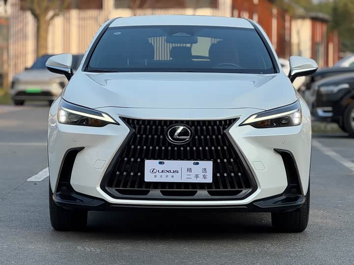 Фото 2 - Lexus NX