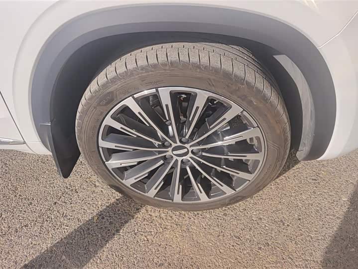 Фото 6 - Geely Monjaro