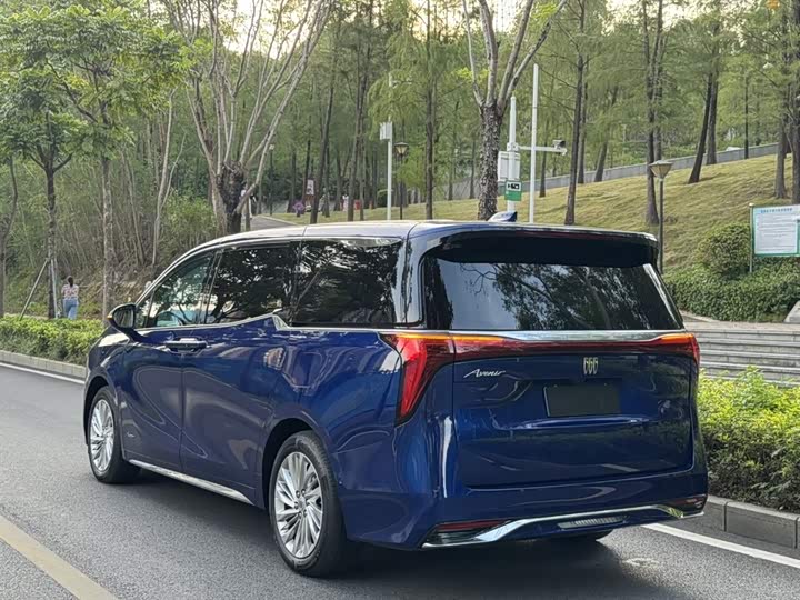 Фото 7 - Buick GL8 Century