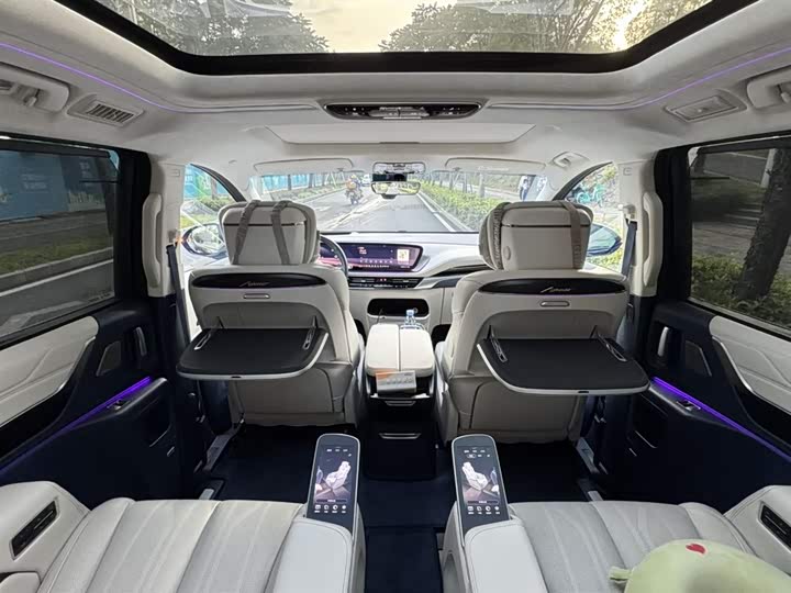 Фото 8 - Buick GL8 Century