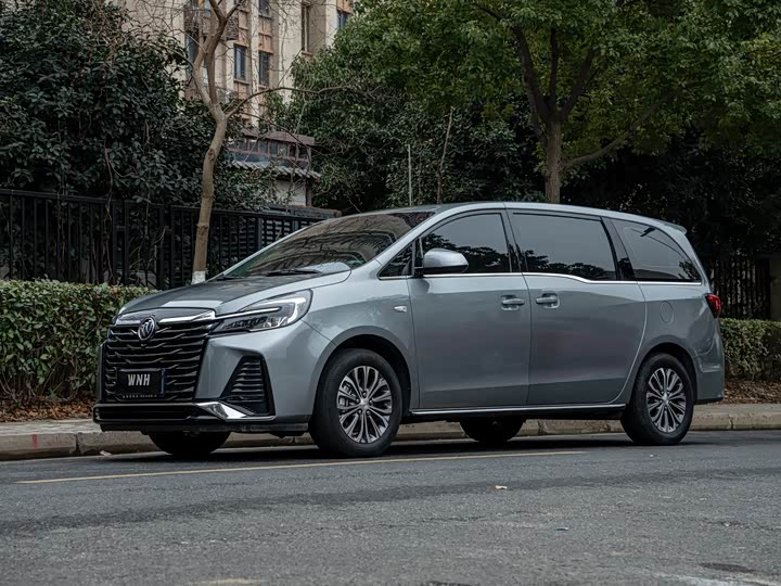 Фото 1 - Buick GL8 ES