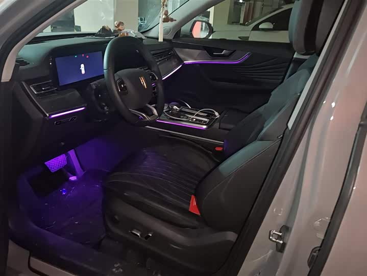 Фото 9 - Hongqi HS5