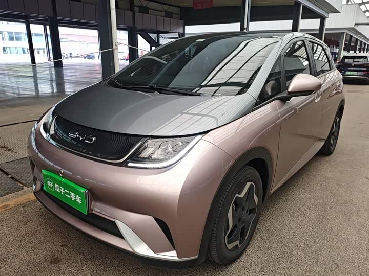 Фото 1 - BYD Dolphin