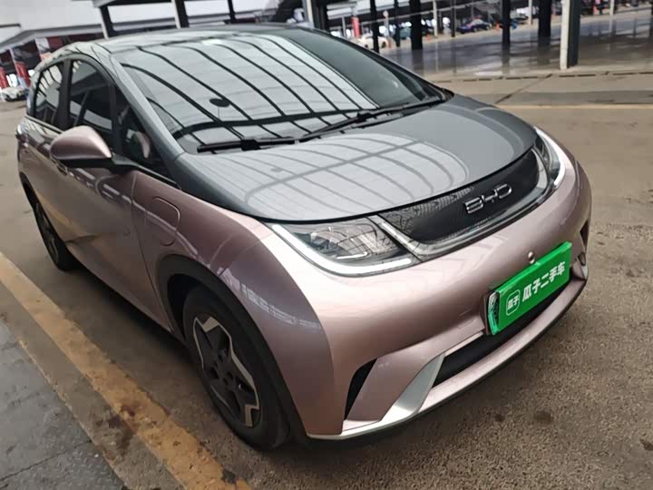 Фото 4 - BYD Dolphin