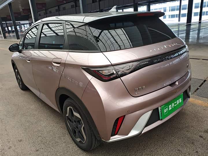 Фото 5 - BYD Dolphin