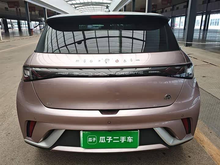 Фото 6 - BYD Dolphin