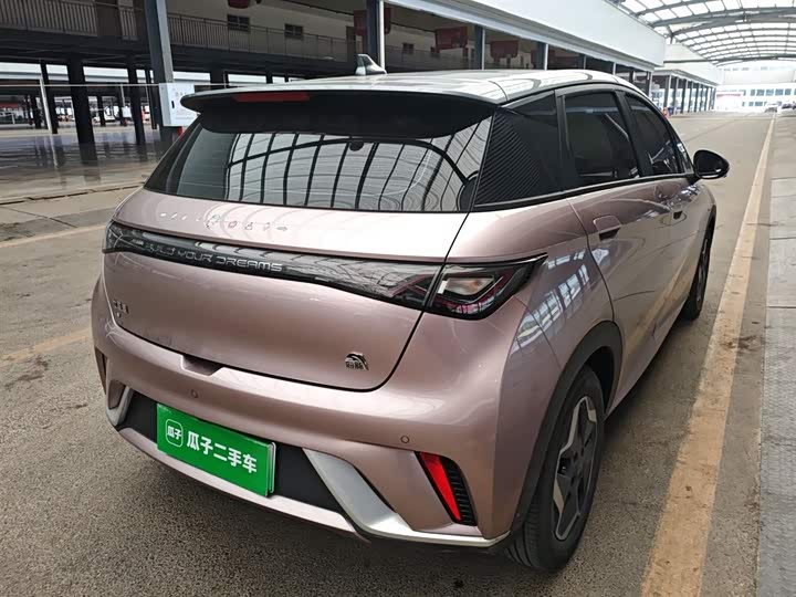 Фото 7 - BYD Dolphin