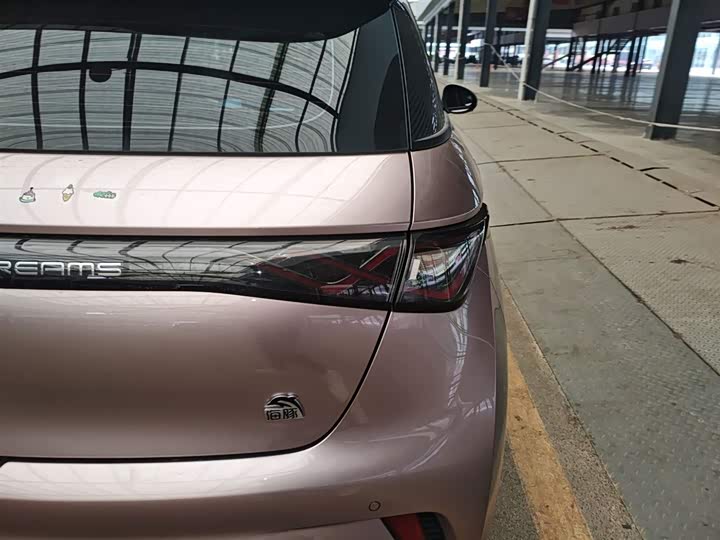 Фото 8 - BYD Dolphin