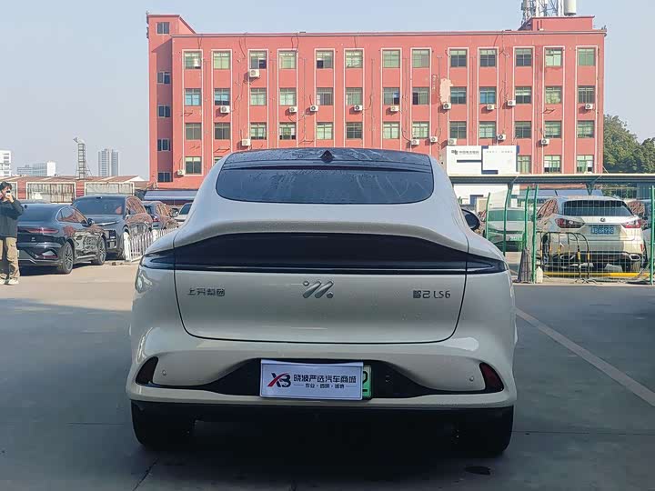 Фото 7 - IM motors LS6