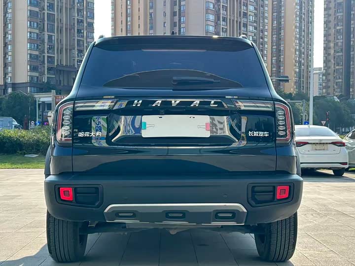 Фото 4 - Haval Dargo