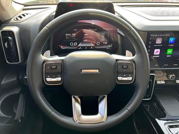 Фото 9 - Haval Dargo