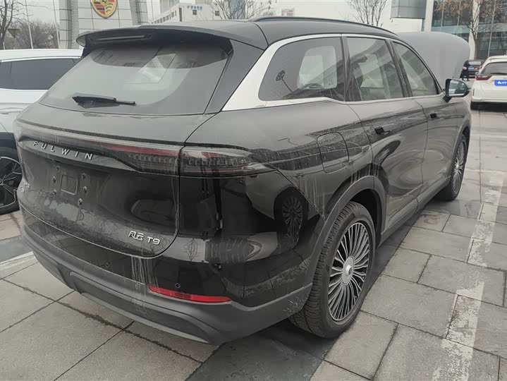 Фото 3 - Chery Fulwin T9