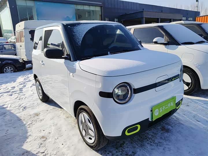 Фото 4 - Geely Galaxy Panda Mini