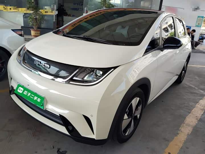 Фото 2 - BYD Dolphin