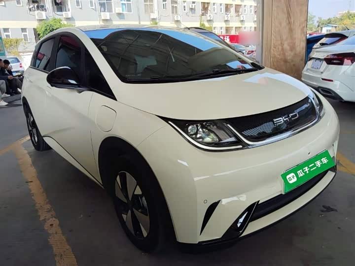 Фото 4 - BYD Dolphin