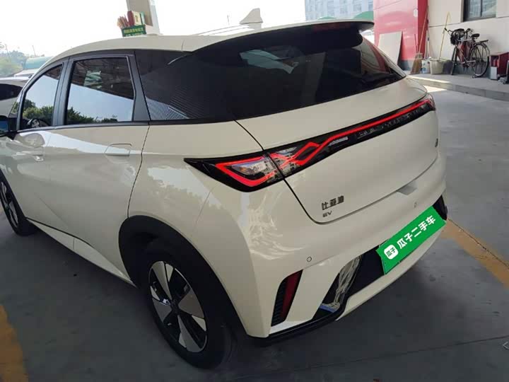 Фото 5 - BYD Dolphin