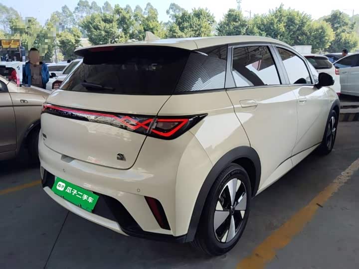 Фото 7 - BYD Dolphin