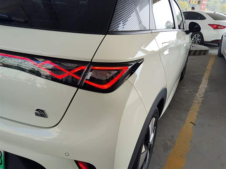 Фото 8 - BYD Dolphin