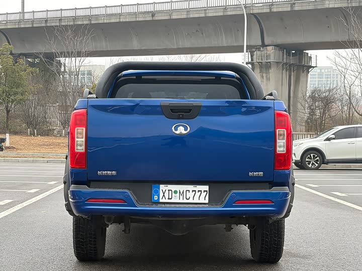 Фото 4 - Great Wall Pao